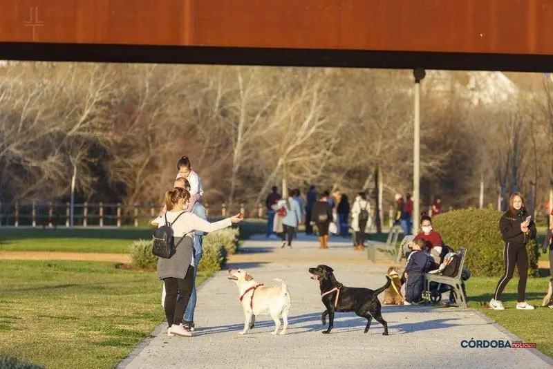  Due&ntilde;a con sus perros. - Jos&eacute; Le&oacute;n. 