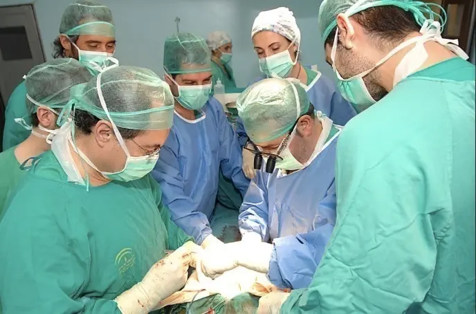 Trasplante renal. - Junta de Andaluc&iacute;a