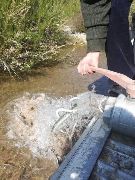  fotonoticia_20210312110521_1920 