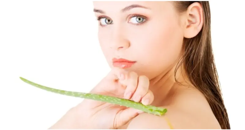 Aloe vera