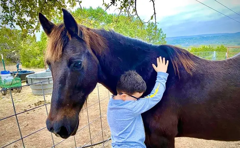  Un ni&ntilde;o con discapacidad abraza a un caballo rescatado. Imagen SAFE 