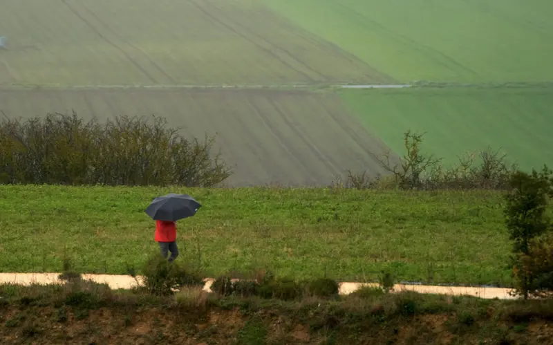  Captura de pantalla 2021-04-06 a las 9.16.58 