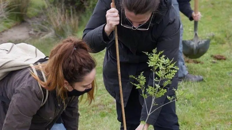  Voluntarias plantas uno de entre m&aacute;s de 400 &aacute;rboles. - Bombay Sunset 