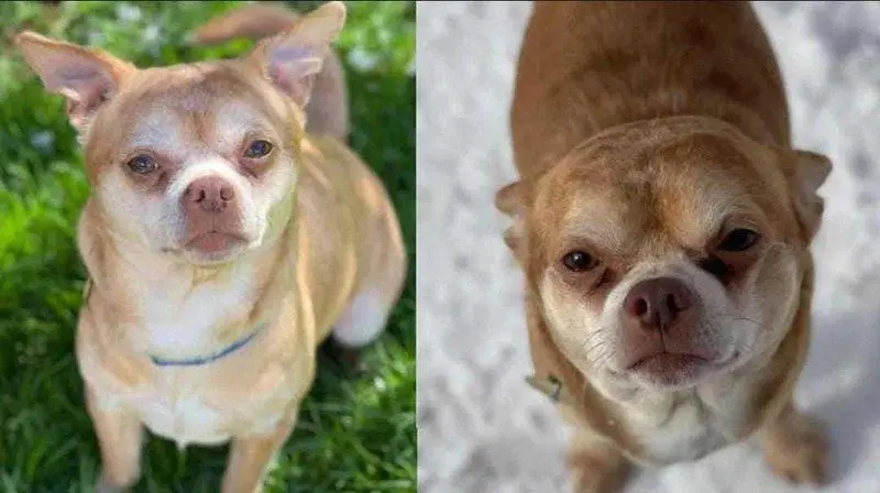 WhatsApp Image 2021-04-27 at 14.16.24