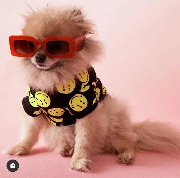 WhatsApp Image 2021-04-29 at 12.54.49