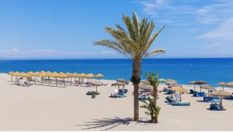  Playas de Moj&aacute;car (Ayuntamiento de Moj&aacute;car) 