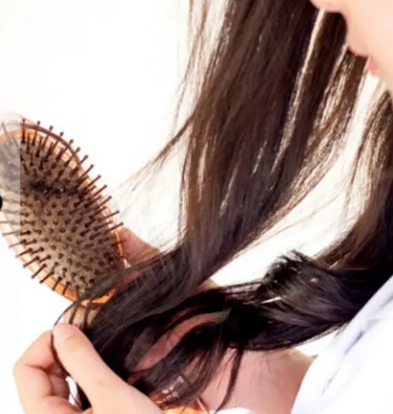 Captura de pantalla (355)