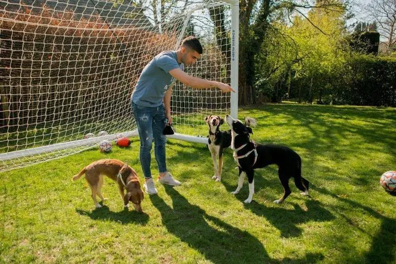  Ferran Torres cuidando a los perros en la p&aacute;gina web de 'Wild at Heart Foundation' 