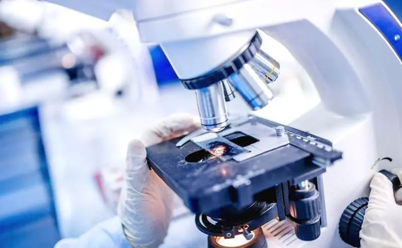  AECC de M&aacute;laga destaca la importancia de la investigaci&oacute;n 