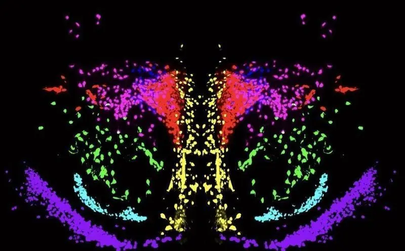  6813356F-A9AC-4023-9770-7964DFF8DBE8 