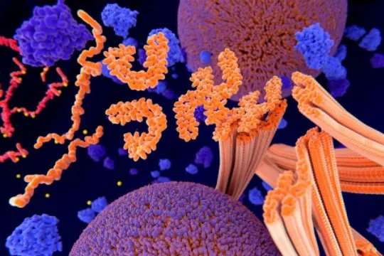  el-anestesico-sevoflurano-favorece-propagacion-0_540 