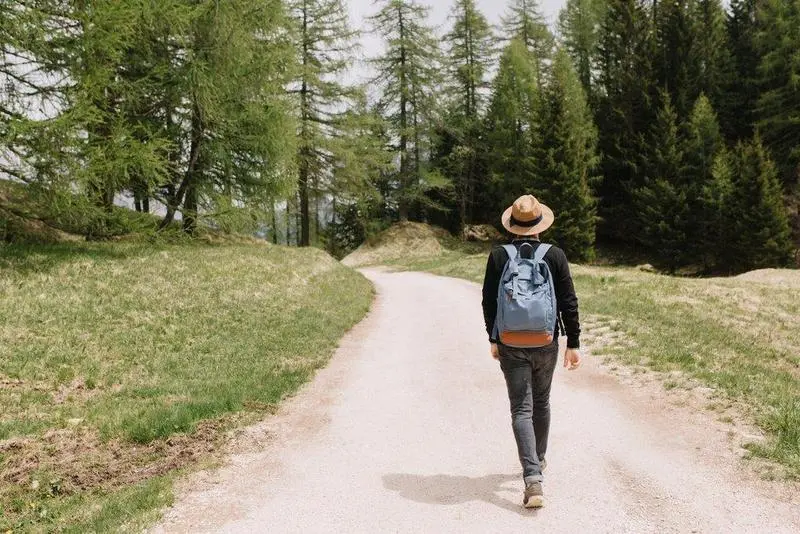 Full-length portrait from back of male traveler exploring summer forest in vacation. Young man wearing hat and black shirt walking outdoor, enjoying wonderful nature view in morning.