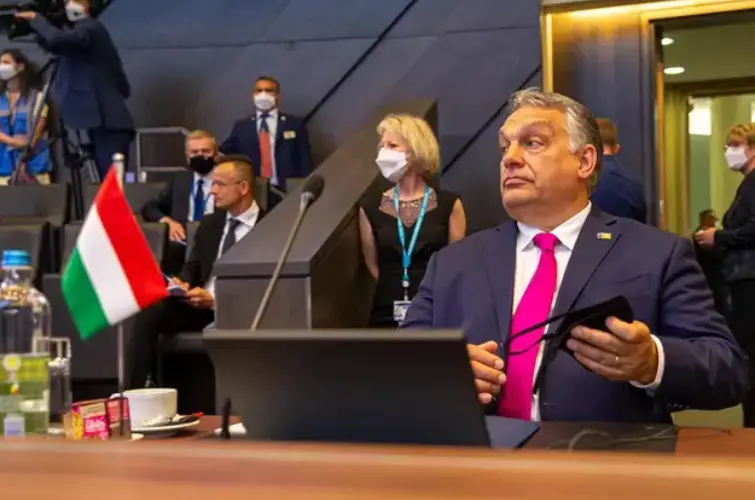  Captura de pantalla (456) 