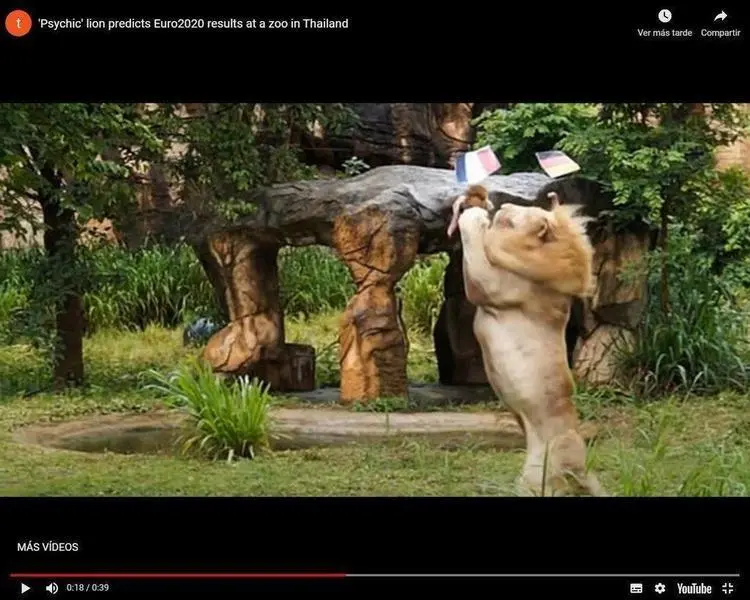  Captura del v&iacute;deo 