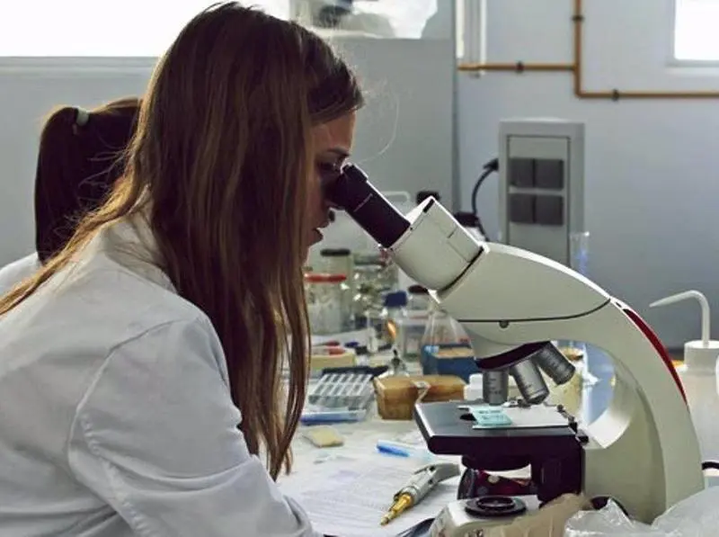  Microscopio industrial empleado en el estudio internacional para desarrollar nanopart&iacute;culas que eliminan gases nocivos en espacios cerrados - FUNDACI&Oacute;N DESCUBRE 