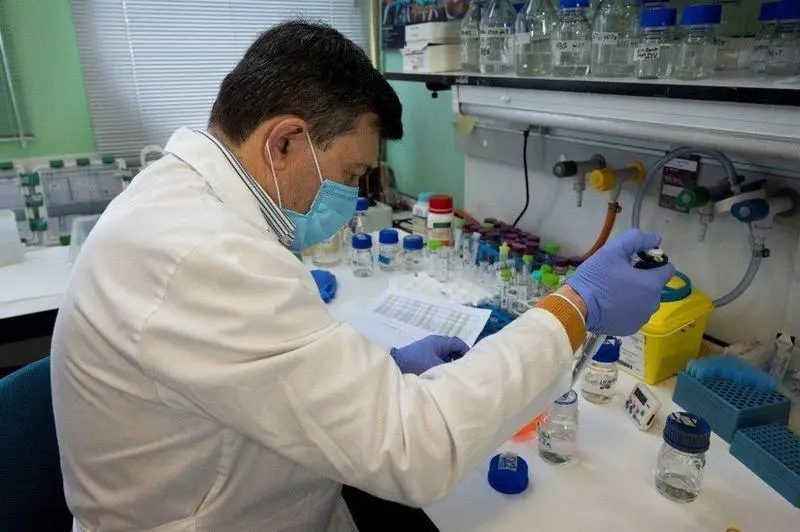  Laboratorio del CNB-CSIC / C&eacute;sar Hern&aacute;ndez (CSIC Comunicaci&oacute;n) 