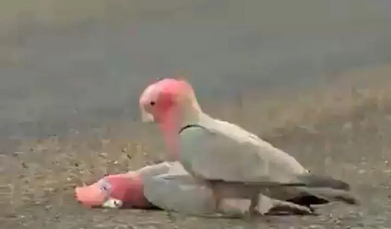  WhatsApp Image 2021-07-06 at 12.48.31 