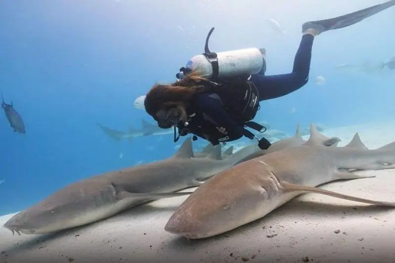  7FD41997-9BA8-44FB-A500-7E0F7B46D0D8 