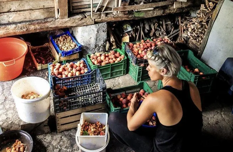 Alimentaci&oacute;n sostenible. Foto de Discover Serbia en Unsplash.
