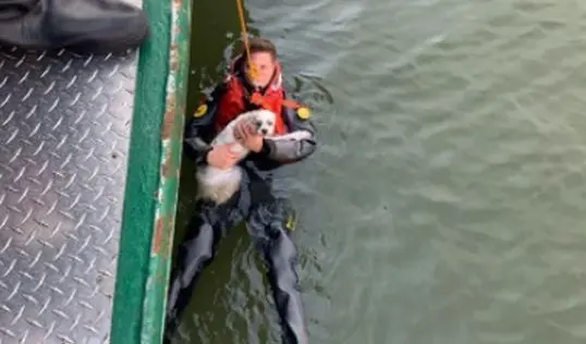  C2CSFGIMHFC6BCXR35Z6K35ZSM 