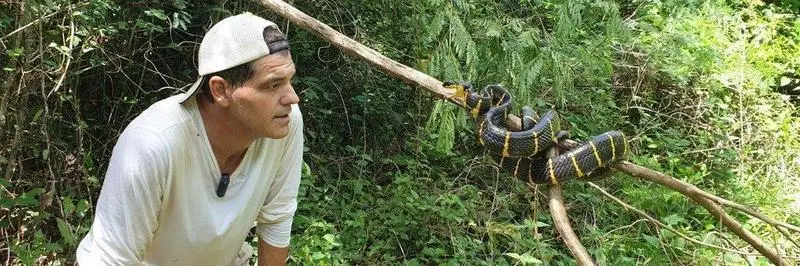  Frank Cuesta - Twitter 