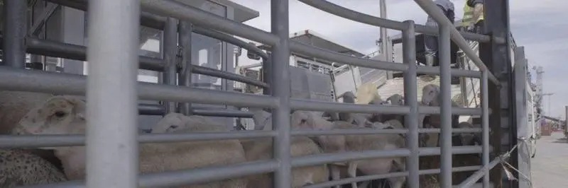  fotonoticia_20210722103543_1920 