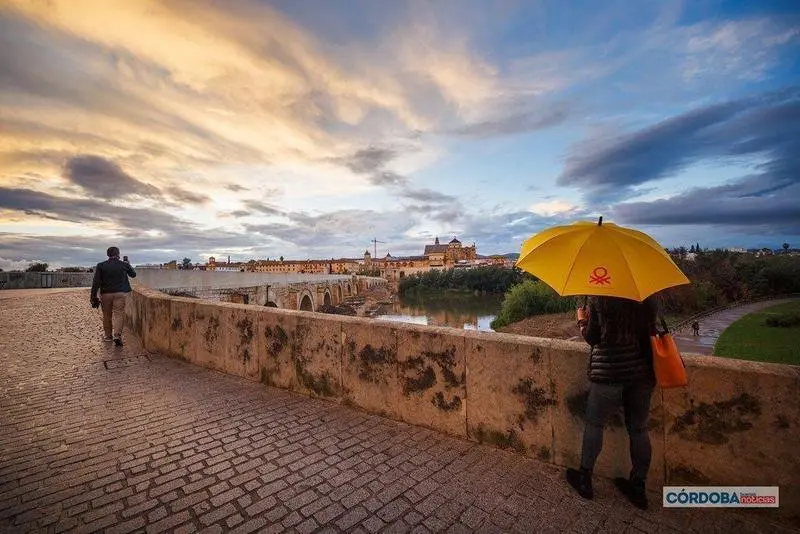  Lluvia en C&oacute;rdoba. | Jos&eacute; Le&oacute;n. 