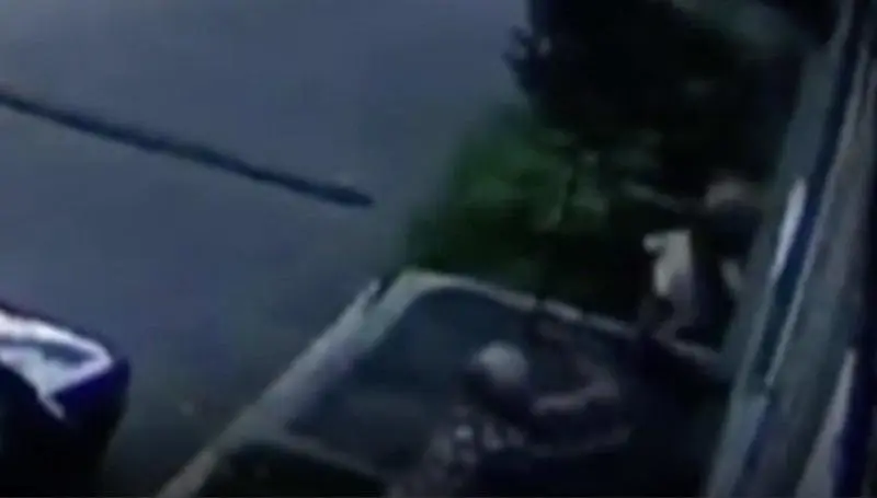  Captura de pantalla 2021-07-28 a las 12.57.19 