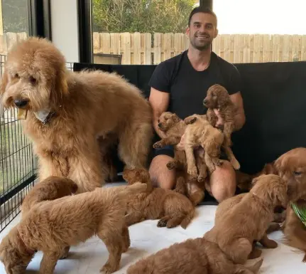 Foto instagram Cliff Brush