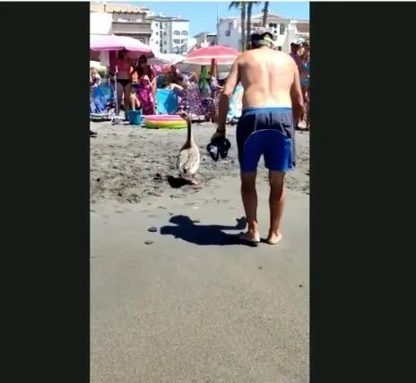  WhatsApp Image 2021-08-10 at 10.47.54 