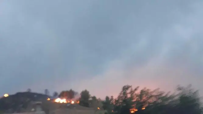  Nuevo-Granada-Infoca-extincion-Caniles_1600650037_142410622_667x375 