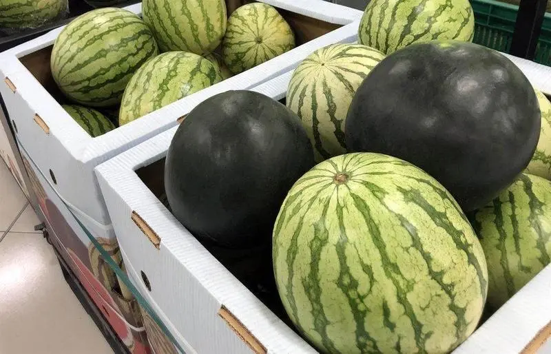 Sand&iacute;a en el lineal de Mercadona. - MERCADONA