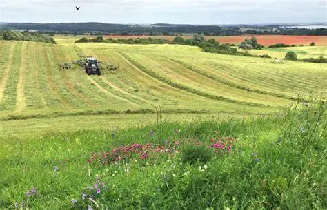 Asaja Andaluc&iacute;a valora las consecuencias de la ley de bienestar animal - Obtenido de Agroinformaci&oacute;n 