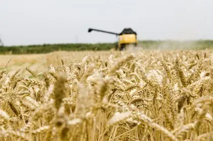  Agricultura - Campa&ntilde;a de Cereal 