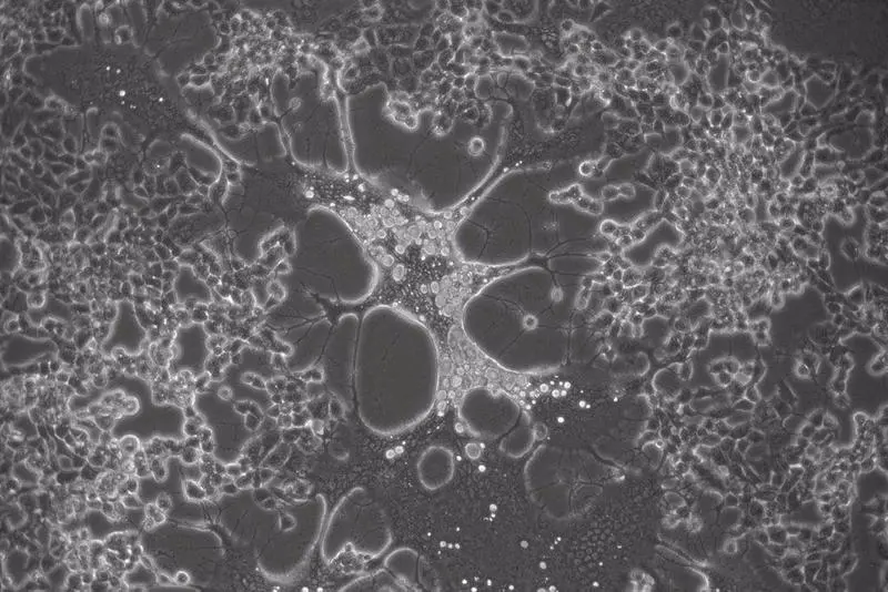  fotonoticia_20210827103340_1920 