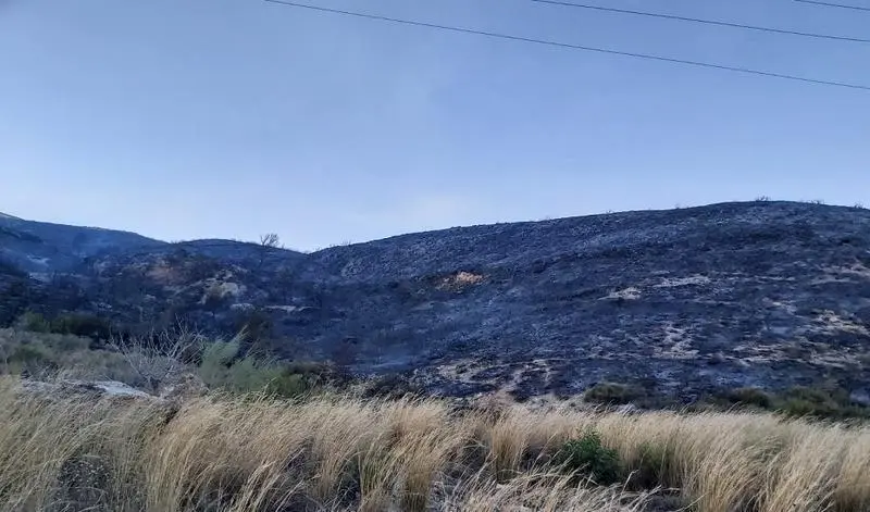  7A33A005-5652-463C-8F3C-280A7C5BBB73 