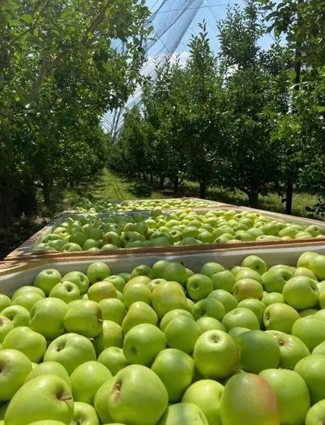 617E12EE-71A4-450F-A948-A2E4AD3066F7