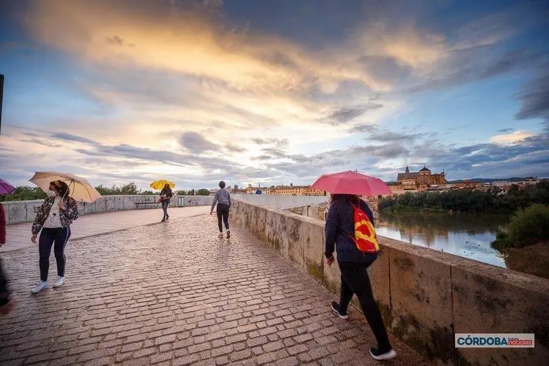  Lluvia en C&oacute;rdoba. | Jos&eacute; Le&oacute;n. 