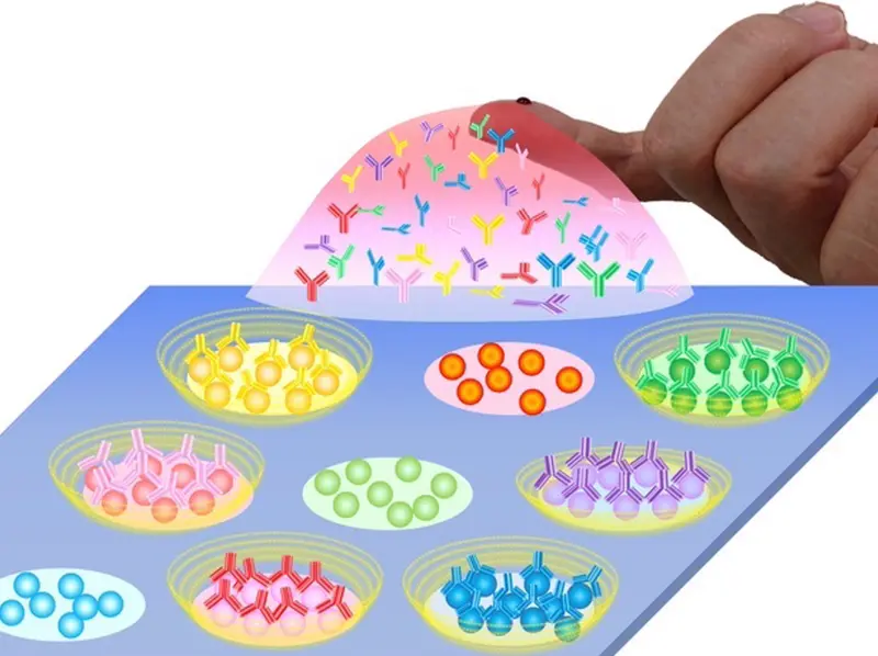  Los investigadores desarrollaron un chip en el que se fijan las claves SARS-CoV-2. Es necesaria una peque&ntilde;a gota de sangre de la yema del dedo y la sensibilidad del sistema es 500 veces mayor que la del m&eacute;todo convencional. - RIKEN 