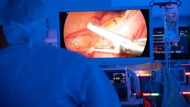  C&aacute;ncer de colon 