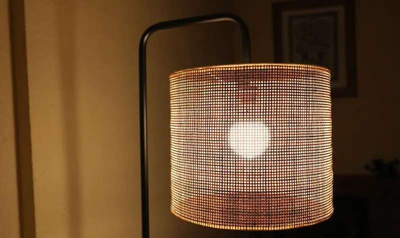  OCU considera indispensable eliminar el impuesto de la electricidad. - Marta Fern&aacute;ndez Jara - Europa Press 