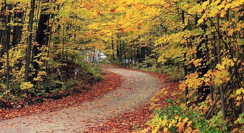  Archivo - El oto&ntilde;o llegar&aacute; a las 21.21 horas (hora peninsular) de este mi&eacute;rcoles 22 de septiembre, y durar&aacute; 89 d&iacute;as y 20 horas. La estaci&oacute;n acabar&aacute; el 21 de diciembre con la llegada del invierno, seg&uacute;n el Instituto Geogr&aacute;fico Nacional - US DEPARTMENT OF AGRICULTURE - Archivo 