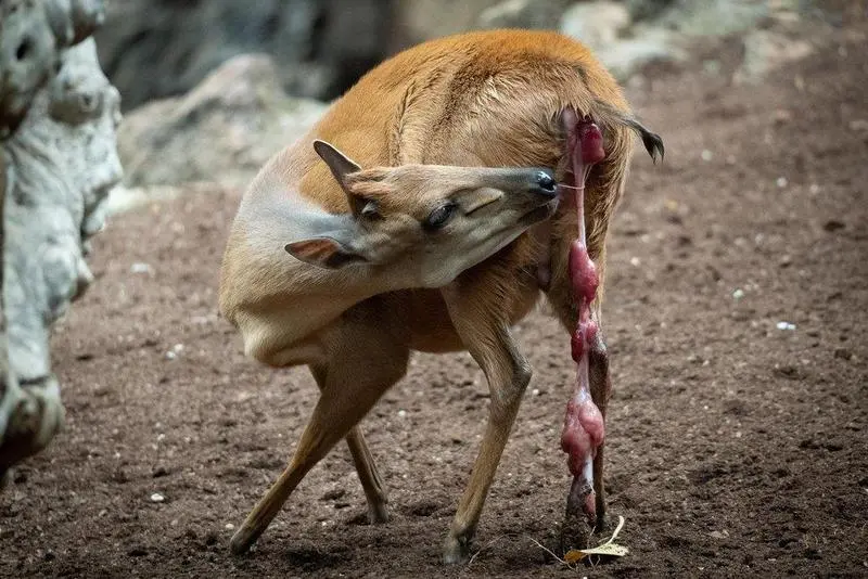 <p> A892CD30-BD8A-4D43-8D27-30D67457FC6B </p>