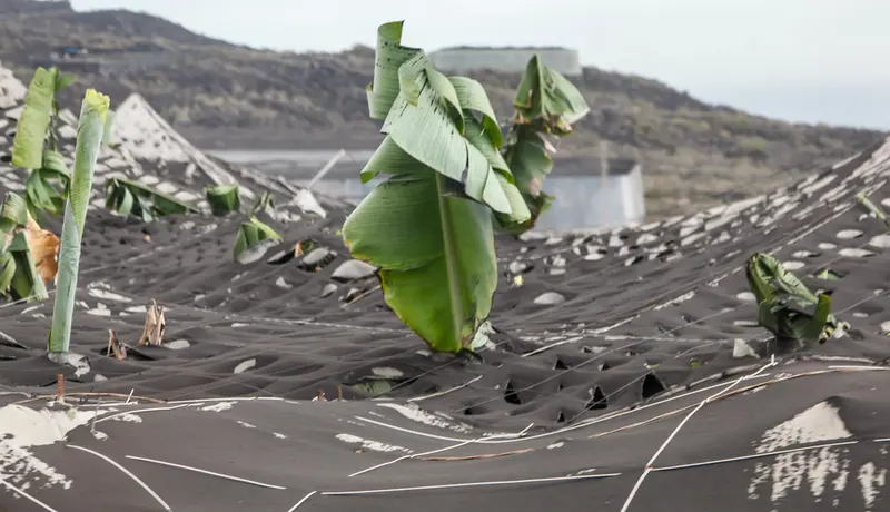 <p> Captura de pantalla 2021-10-31 a las 19.33.35 </p>