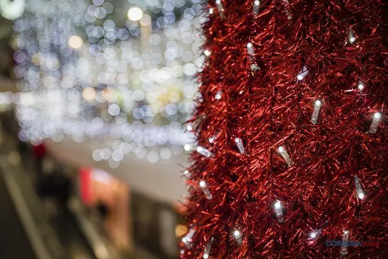 <p> Luces de Navidad. - José León </p>