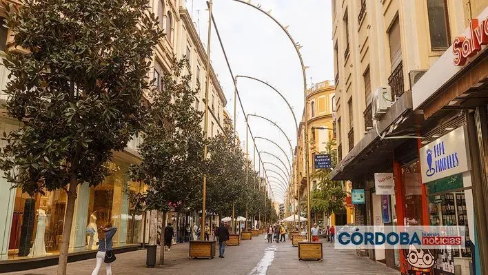 <p> Instalaci&oacute;n alumbrado navide&ntilde;o-por parte de Ximenez en Calle Cruz Conde | Jos&eacute; Le&oacute;n </p>
