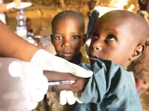 <p> Vacuna Africa. Imagen de archivo </p>