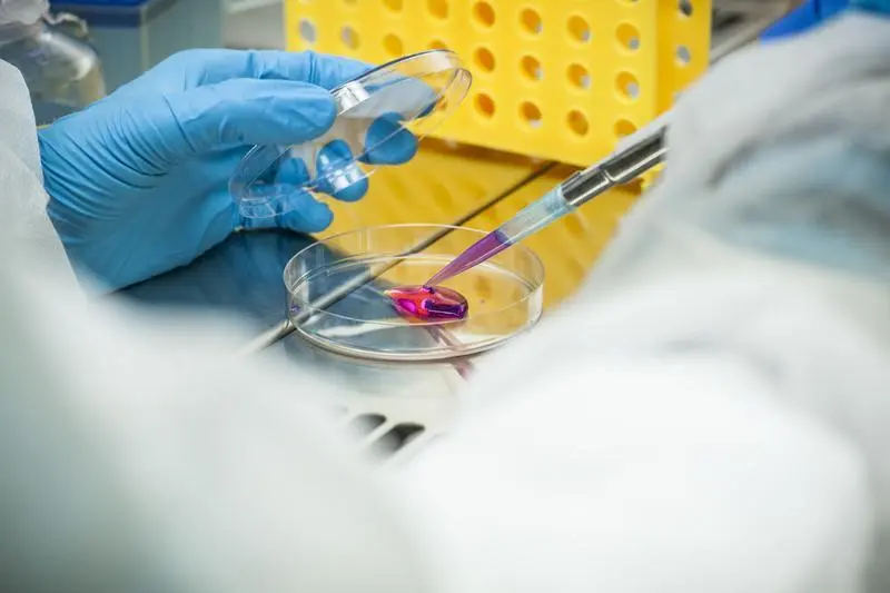 <p> Creative Commons. </p>