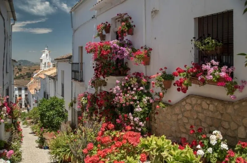 <p> El sector inmobiliario andaluz ha recibido la digitalizaci&oacute;n con los brazos abiertos. </p>