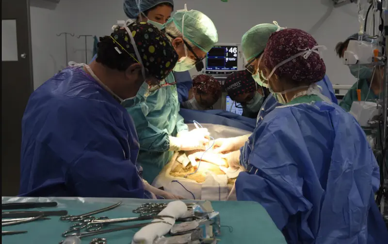 <p> Europa Press. </p>